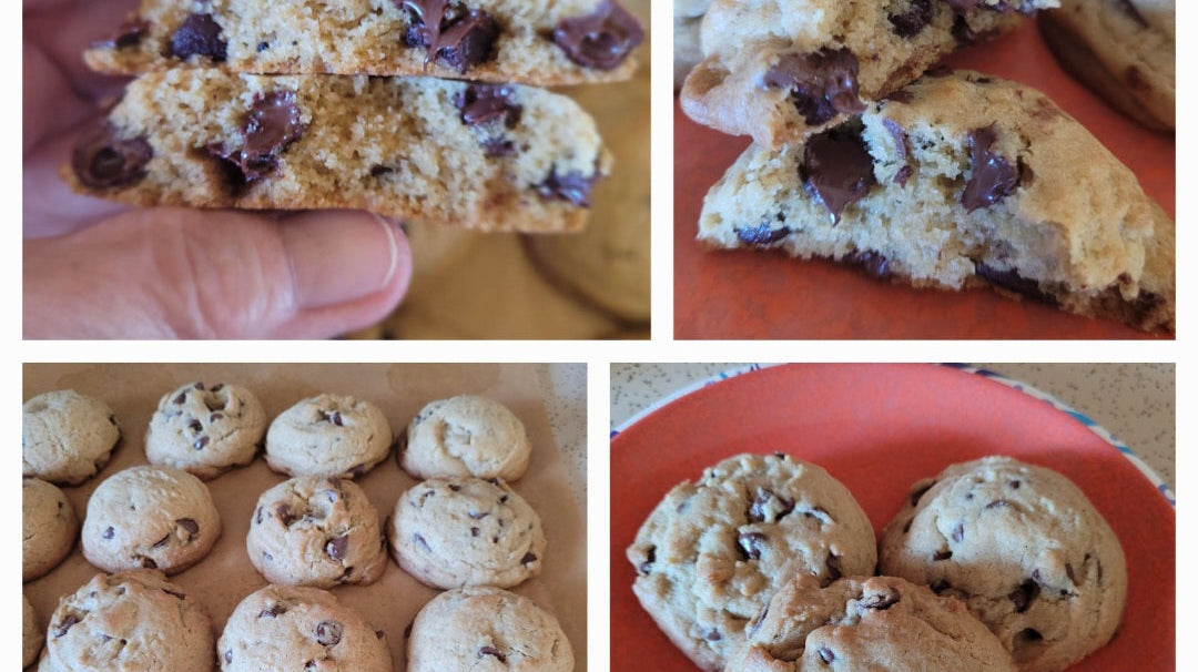 Star's Choc Chippers