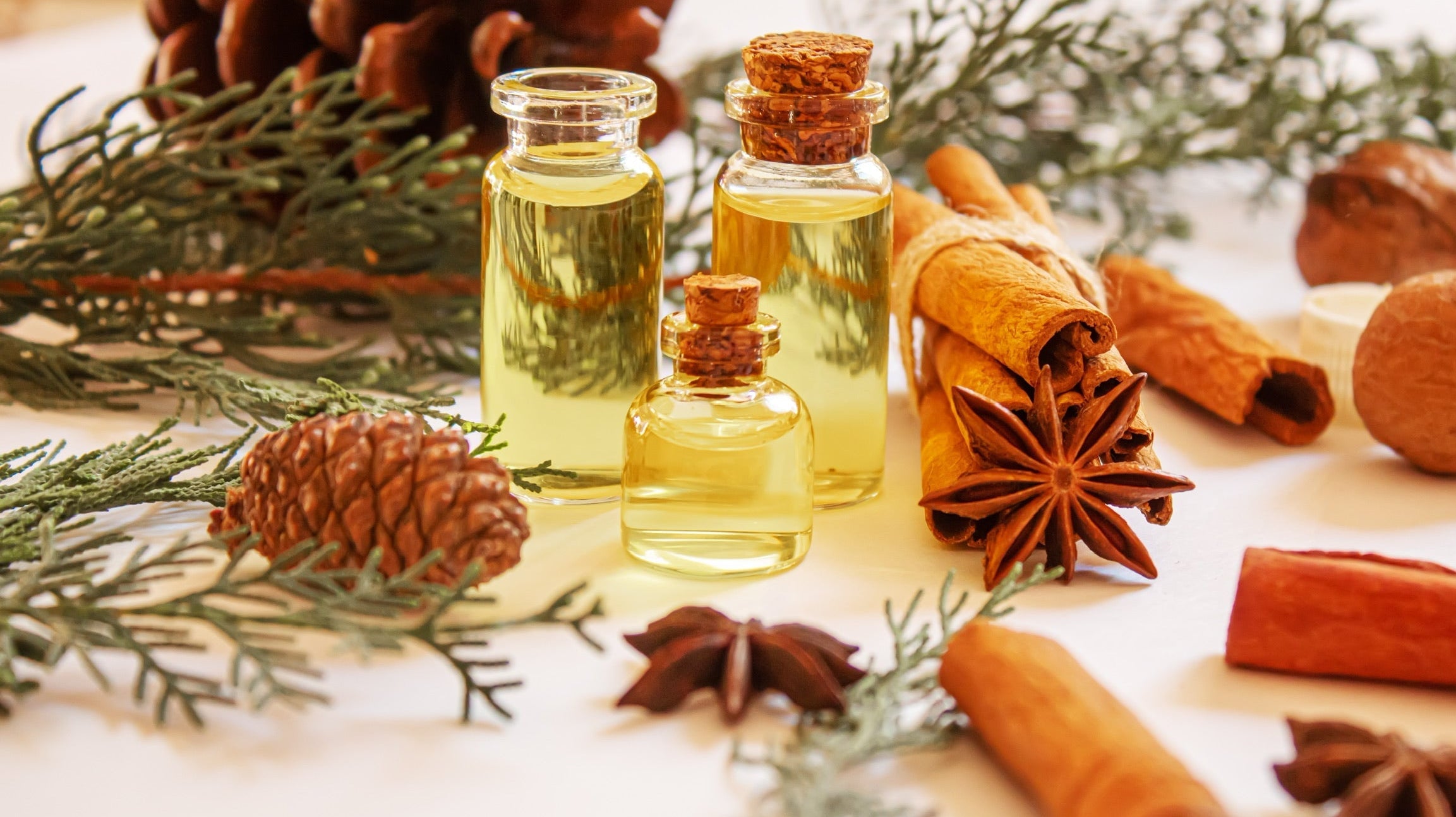 Holiday Mingle Extract