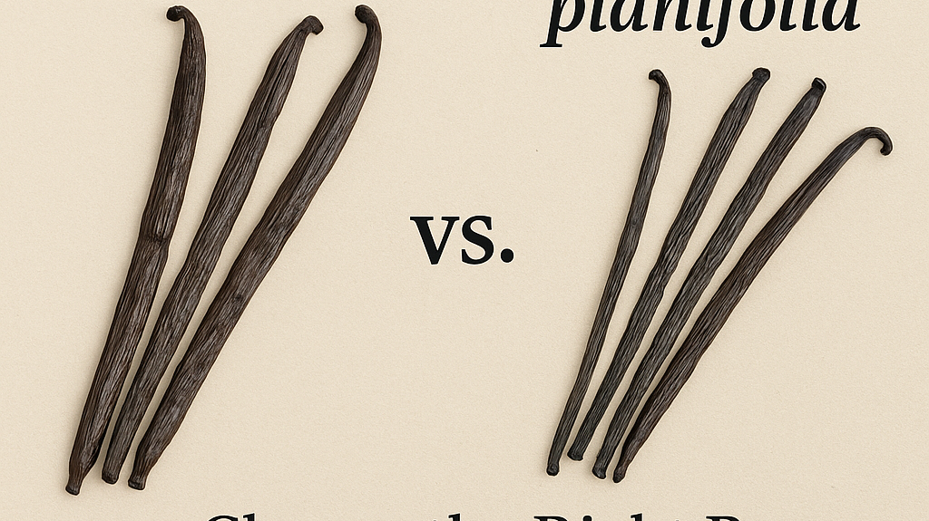 V. tahitensis vs. V. planifolia Vanilla Beans: Choose the Right Bean for Your Extract