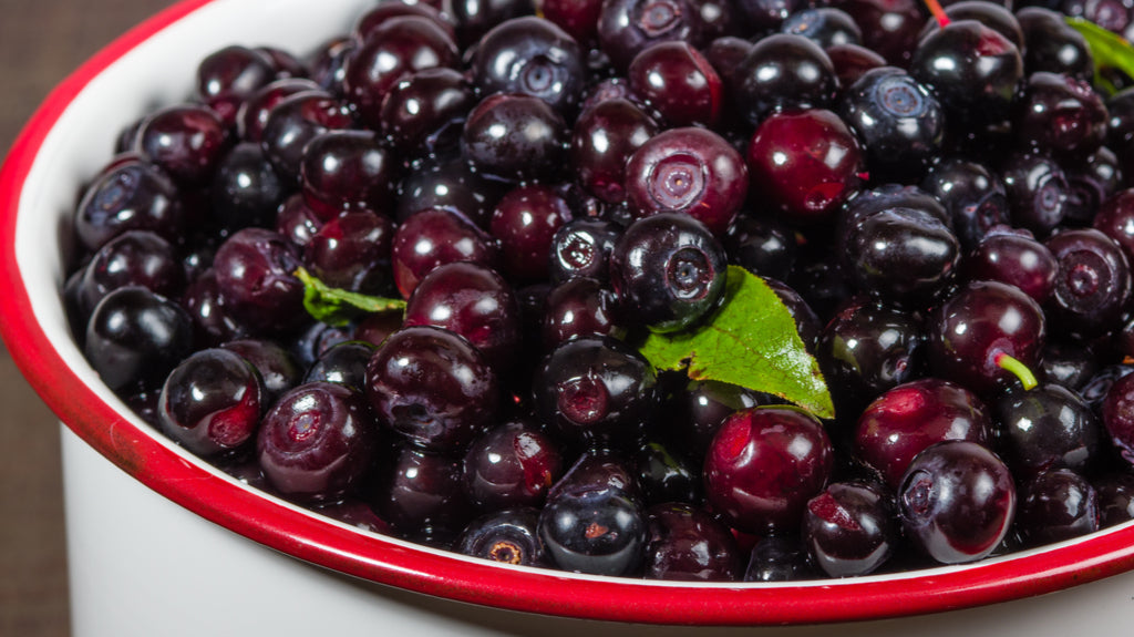 Kimi's Huckleberry Extract