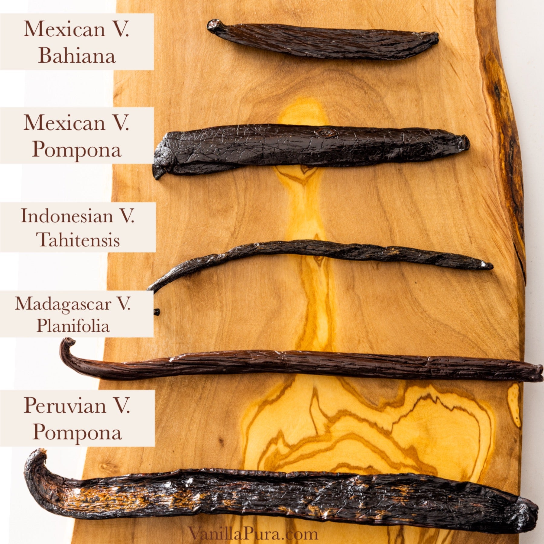 Variety of vanilla beans including Mexican V. Bahiana, Mexican V. Pompona, Bolivian Vanilla Beans are planifolia Indonesian V. Tahitensis, Madagascar V. Planifolia, and Peruvian V. Pompona.