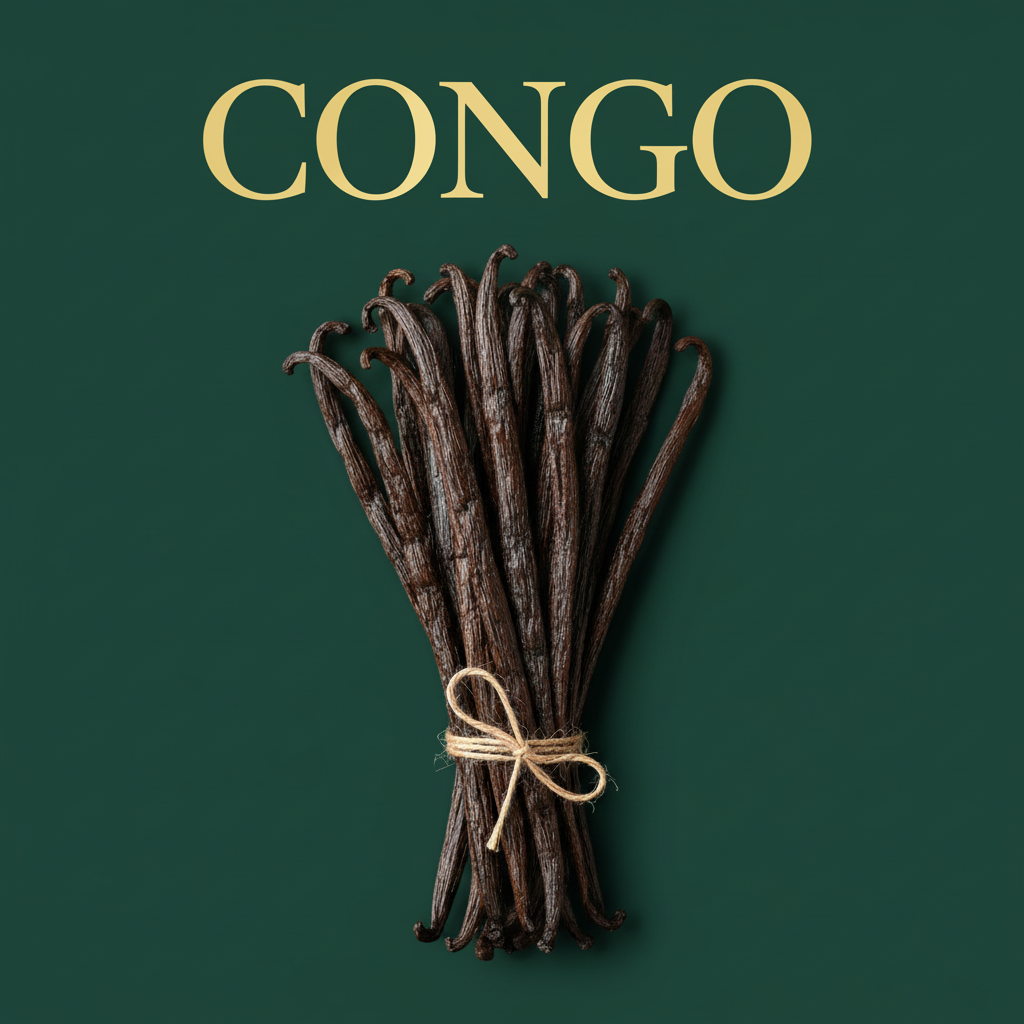 Congo Vanilla Beans Flat Background