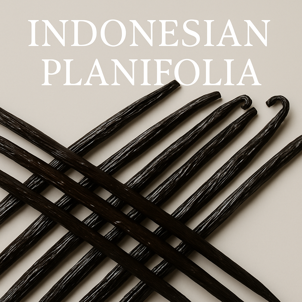 Indonesian Planifolia Vanilla Beans