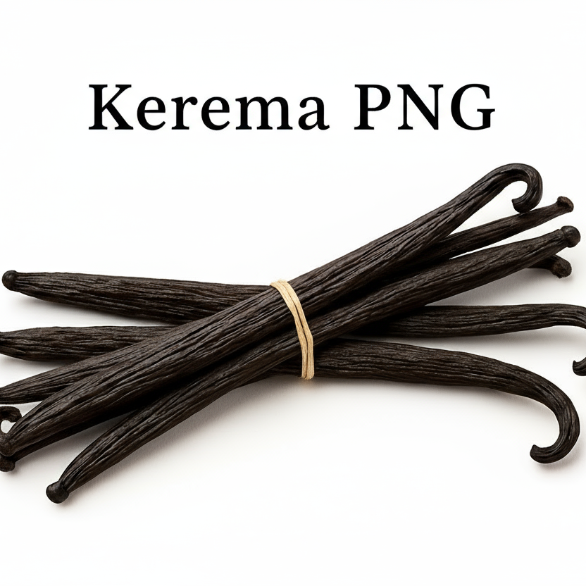 Kerema PNG Vanilla Beans Pure White Background