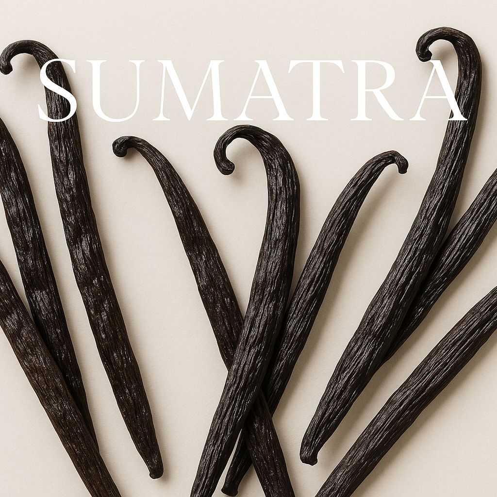 Sumatra Vanilla Beans with Elegant Text