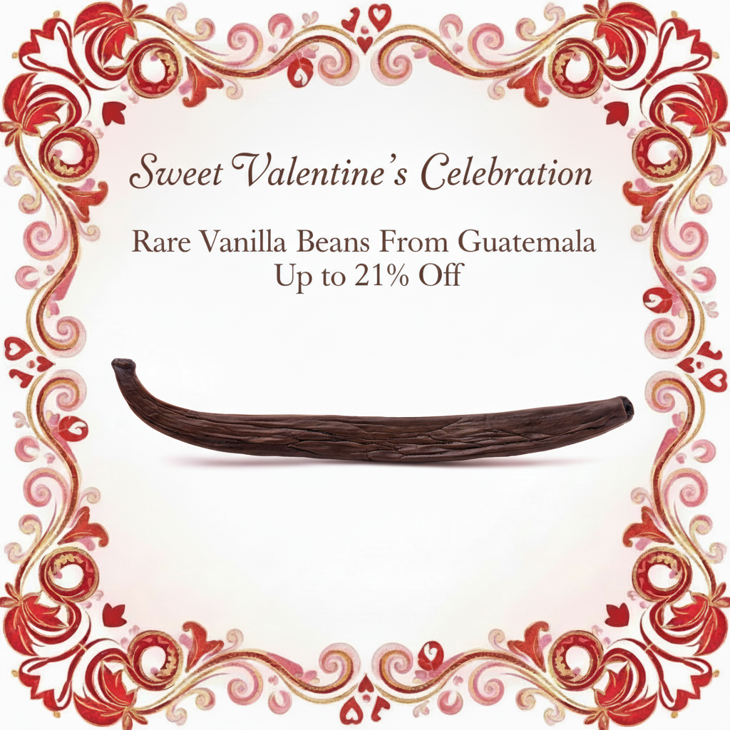 Sweet Valentine's Celebration Rare Vanilla Beans From Guatemala