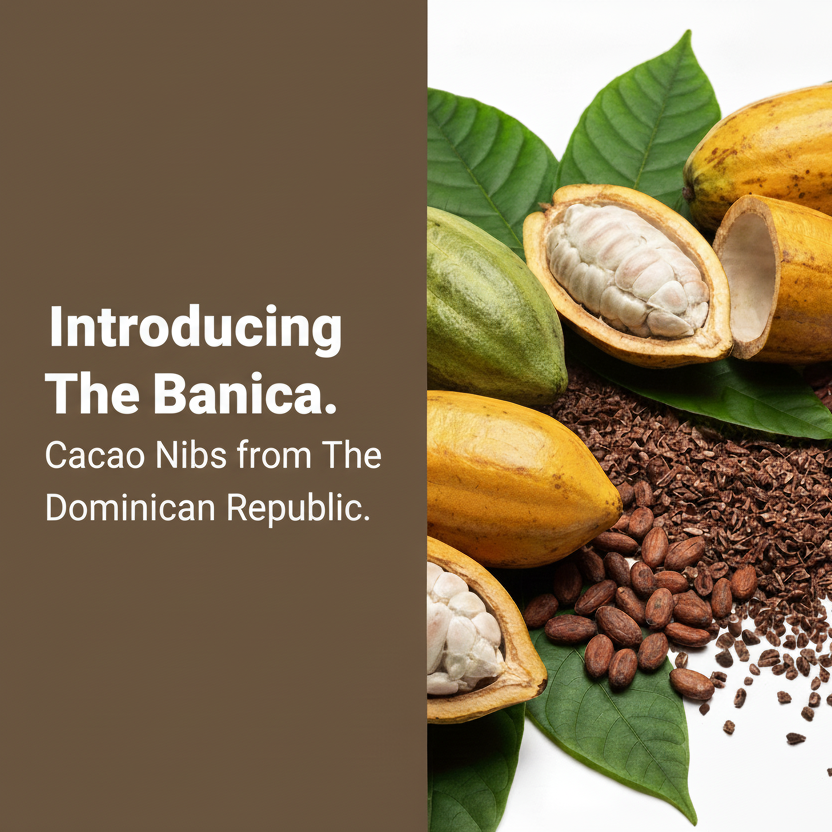 The Banica Cacao Nibs perfect square with extra large text