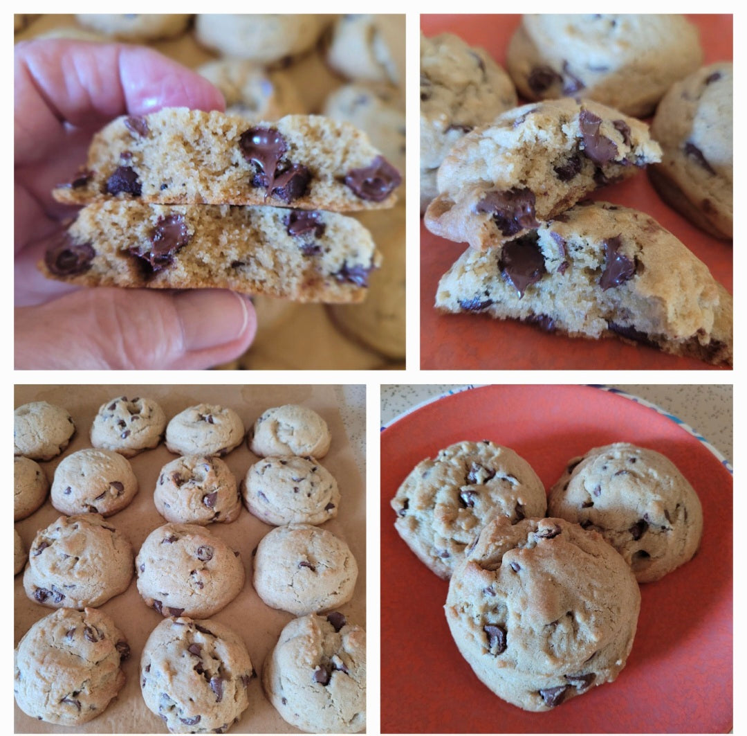 Star's Choc Chippers