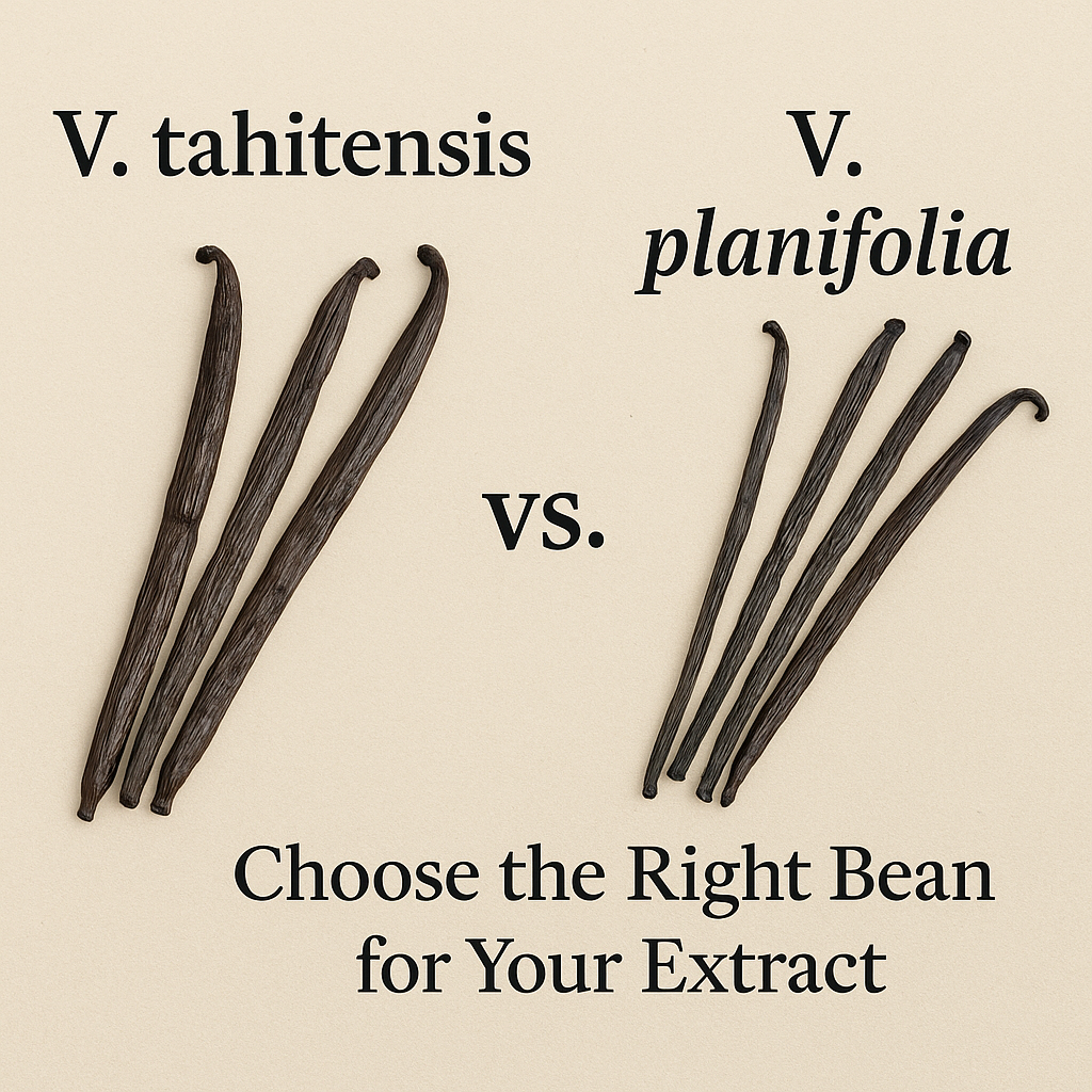 V. tahitensis vs. V. planifolia Vanilla Beans: Choose the Right Bean for Your Extract