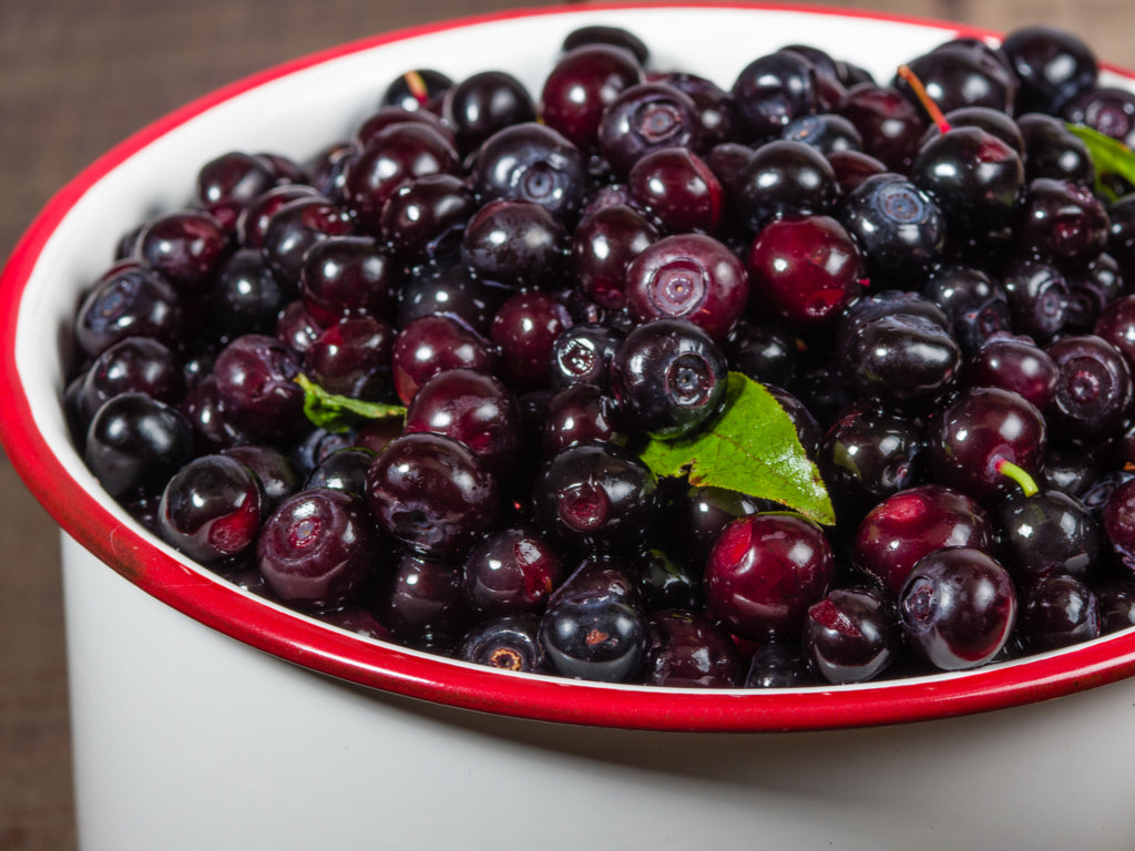 Kimi's Huckleberry Extract