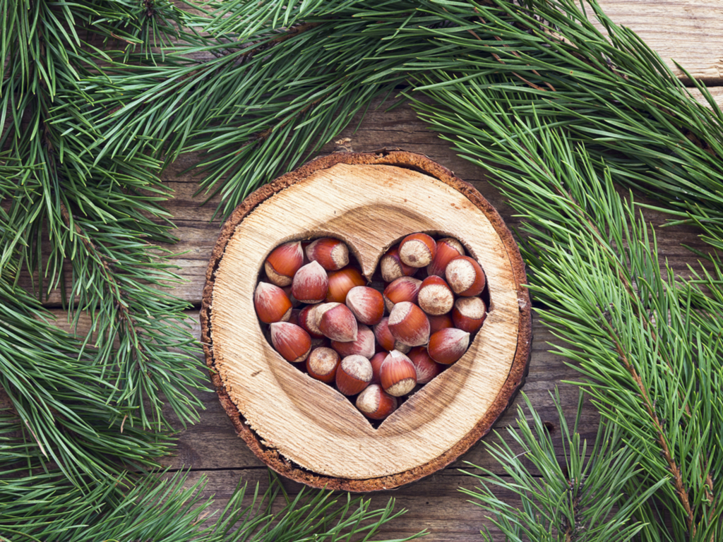 Vicki's Hazelnut Sugar