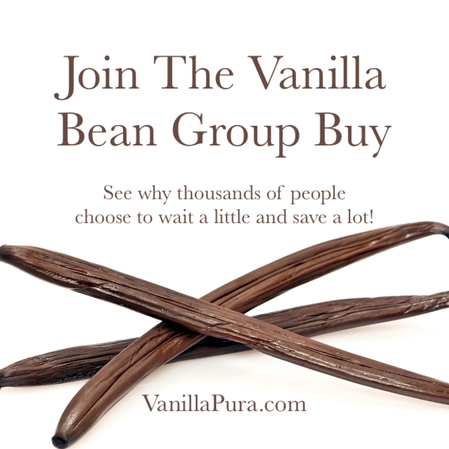 join the vanilla bean group buy (also called co-op) for the lowest prices. 