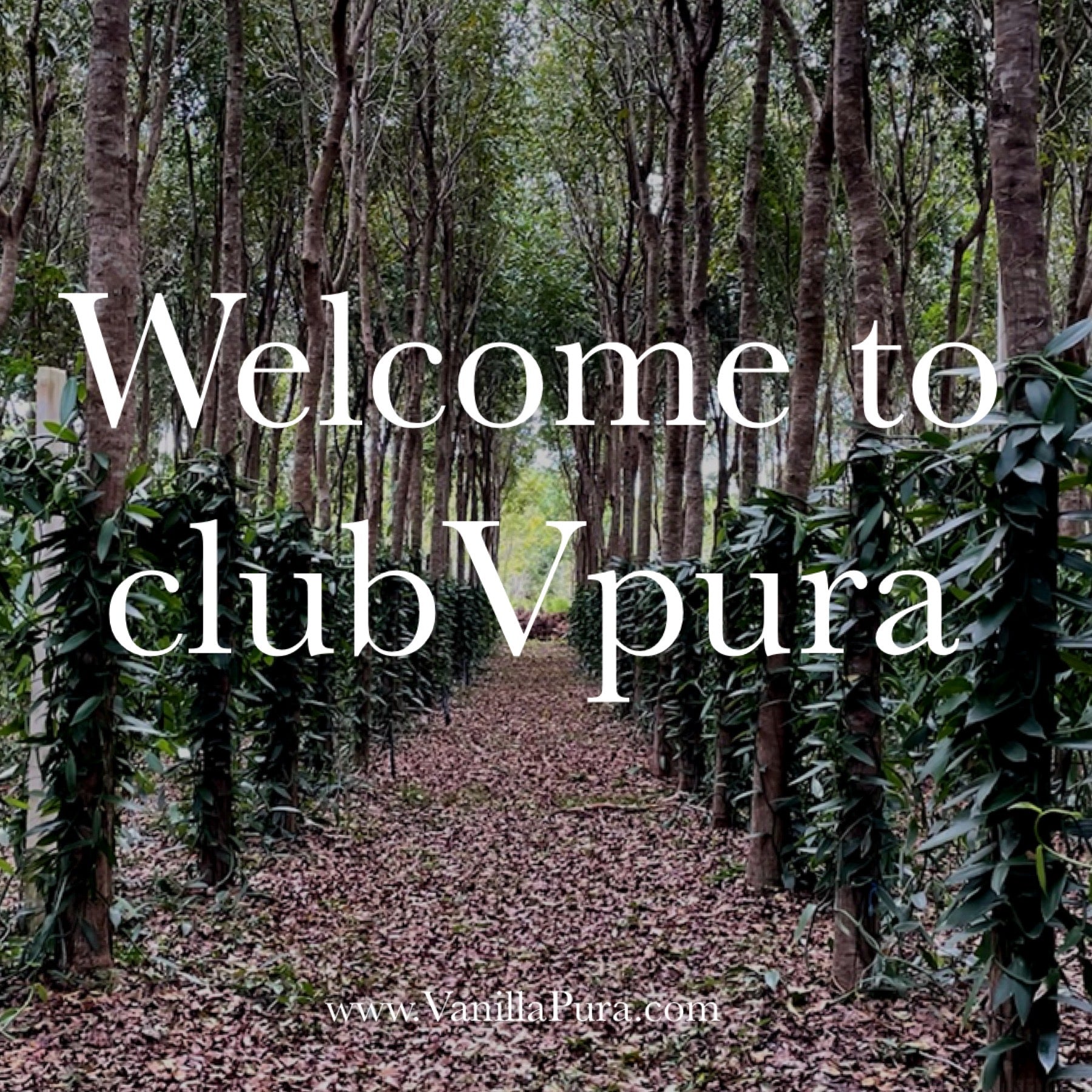 clubVpura Exclusive Offers