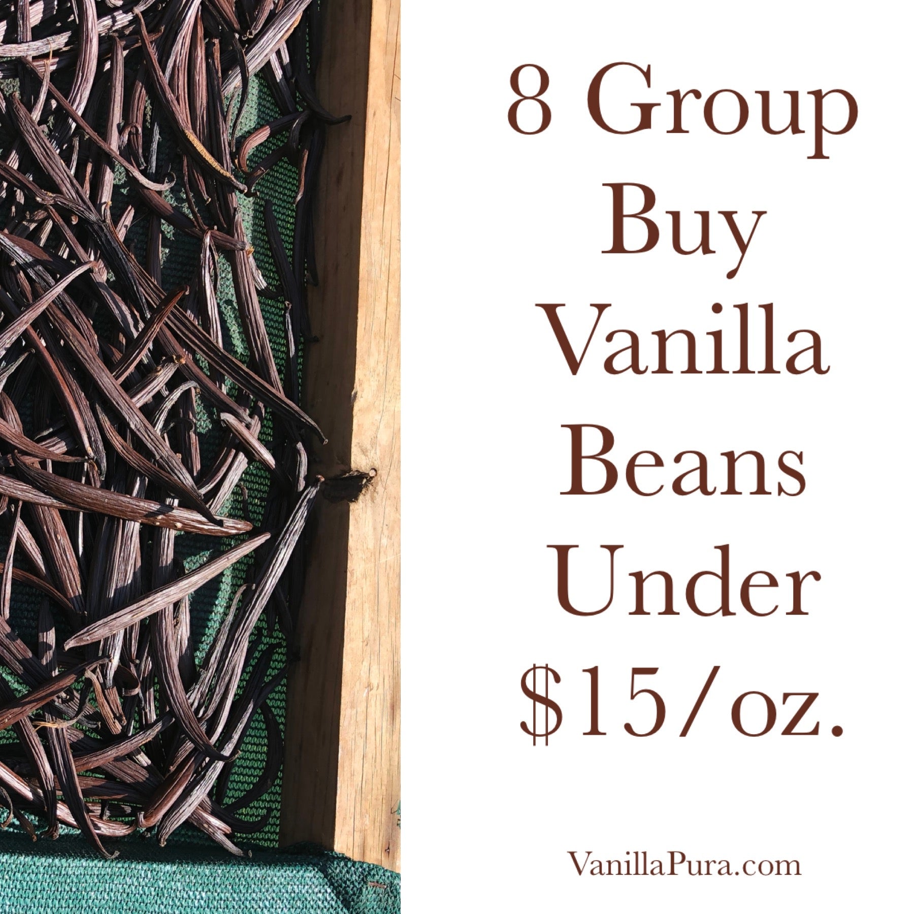 8 Group Buy Vanilla Beans Under $15/oz