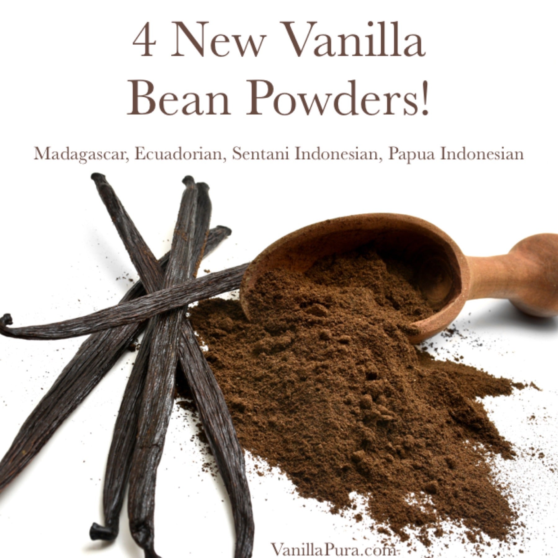 Co-Op Ground Vanilla Bean Powder