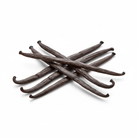 6 Vanilla Beans on Pure White Background