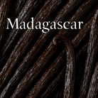Madagascar Vanilla Beans