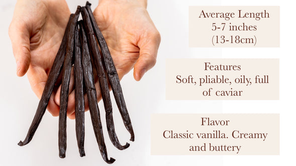 The Dasher! Group Buy Madagascar Vanilla Beans - For Vanilla Extract & Baking (Grade A)