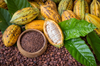Gourmet Cacao Nibs From Peru - For Brewing, Distilling & Extracting