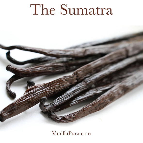 Group Buy - The V. Planifolia Sampler - Vanilla Bean Bundle
