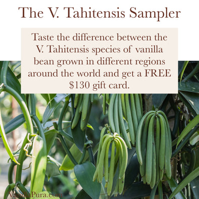 Group Buy - The V. Tahitensis Sampler - Vanilla Bean Bundle