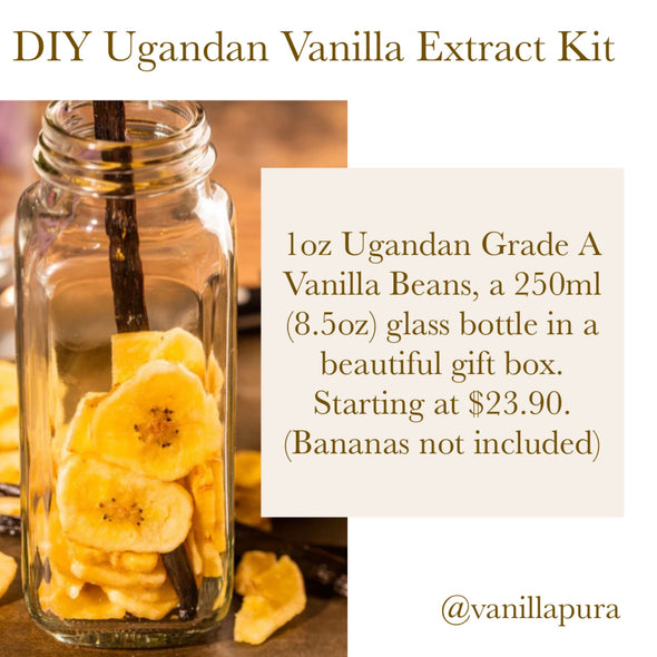 Ugandan Simple Vanilla Extract Making Starter Kit - 8oz (Retail)
