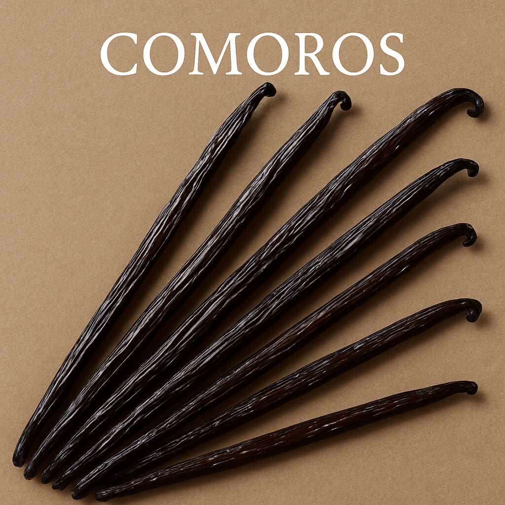 Comoros Vanilla Beans
