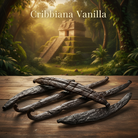 Cribbiana Vanilla