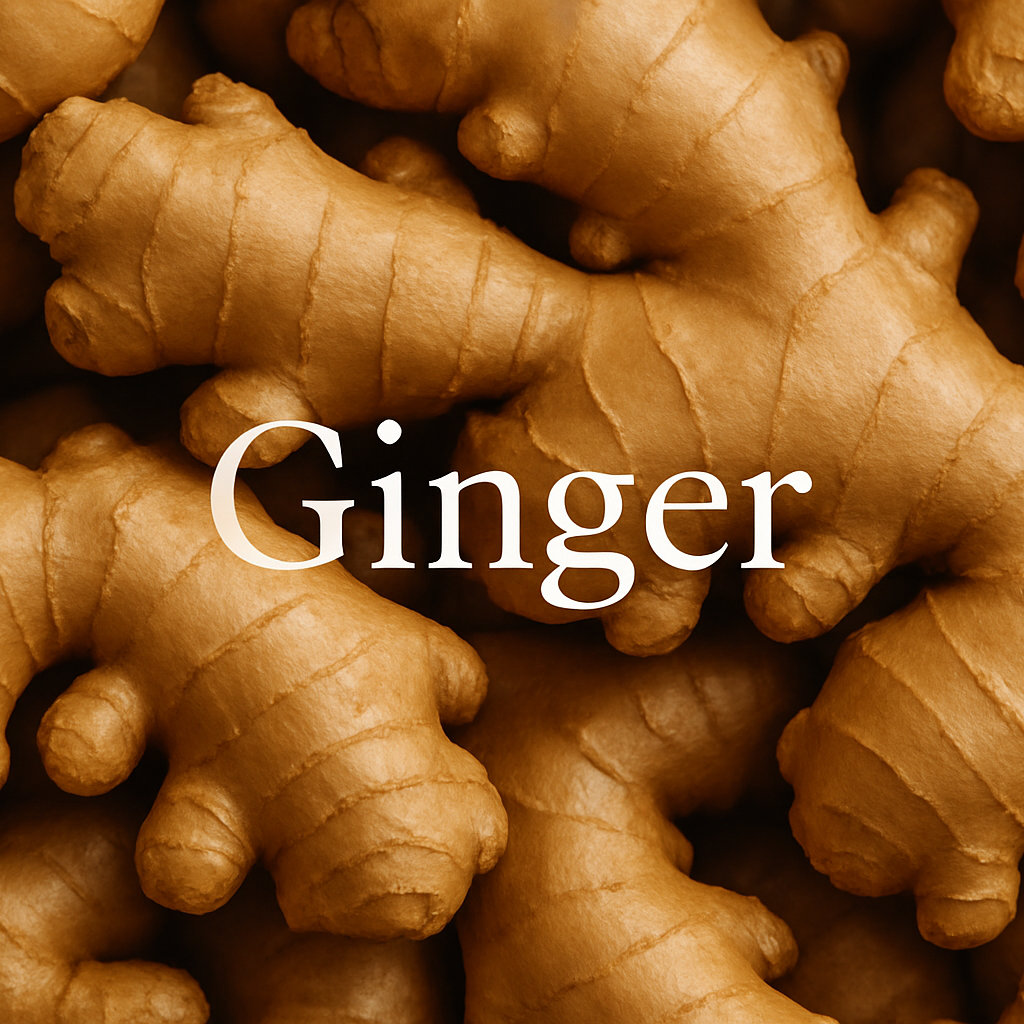 Ginger