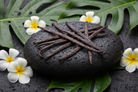 Gourmet Hawaiian Vanilla Beans