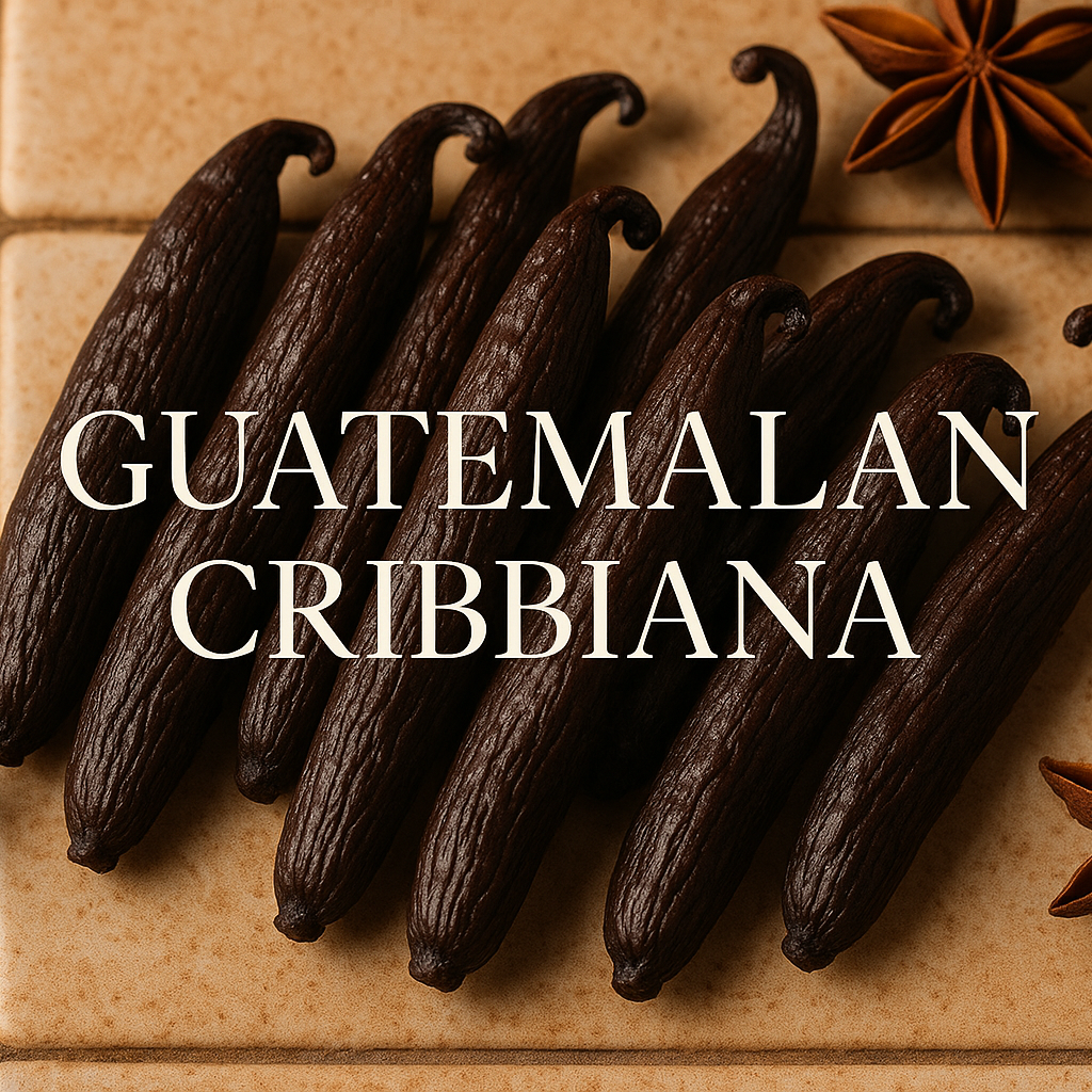 Guatemalan Cribbiana Vanilla Beans