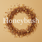 Honeybush