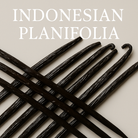 Indonesian Planifolia Vanilla Beans