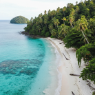 Lush tropical Papua New Guinea beach