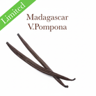 Madagascar V.Pompona clean image
