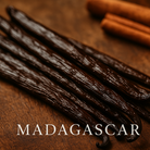 Madagascar Vanilla Beans