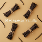 Madagascar Vanilla
