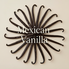 Mexican Vanilla Beans