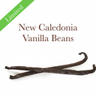 New Caledonia Vanilla Beans - Centered