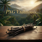 PNG V.tahitensis