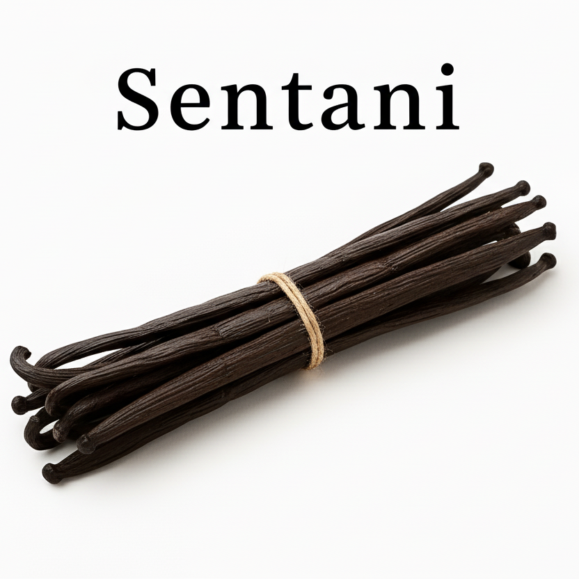 Sentani Vanilla Beans Pure White Background