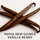 Square format Papua New Guinea vanilla beans with smooth texture