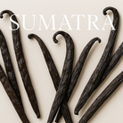 Sumatra Vanilla Beans with Elegant Text