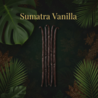 Sumatra Vanilla