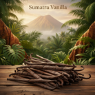 Sumatra Vanilla