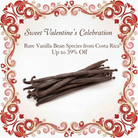 Sweet Valentine's Celebration Rare Vanilla Bean Species from Costa Rica