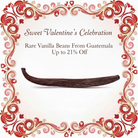Sweet Valentine's Celebration Rare Vanilla Beans From Guatemala