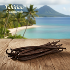 Tahitian V. tahitensis