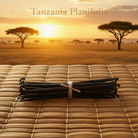 Tanzania Planifolia