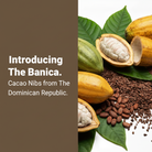 The Banica Cacao Nibs perfect square with extra large text